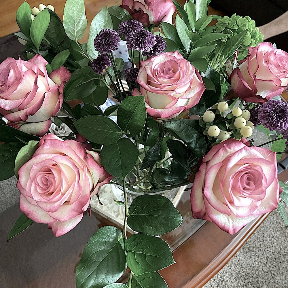 Meet your Posher, Irma